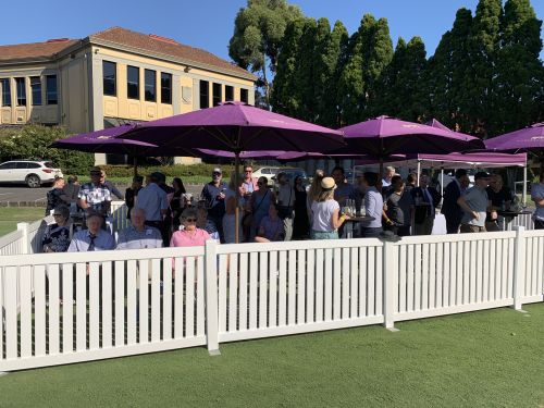 Afternoon at the Cricket 2019